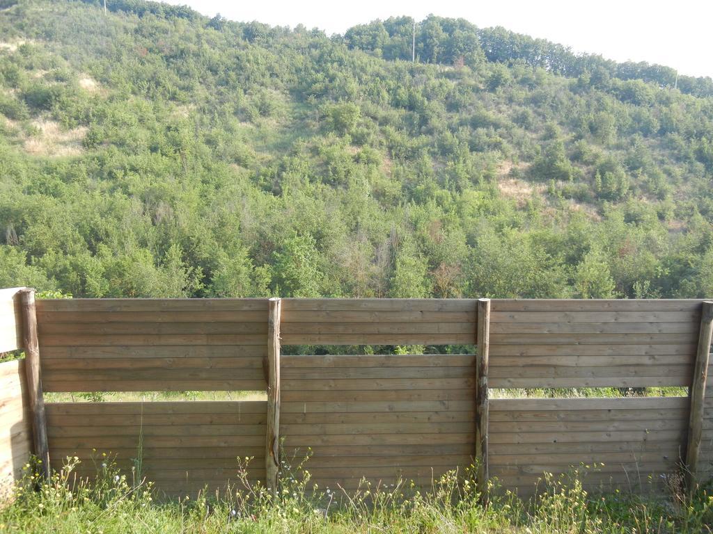 La Colombarola Agriturismo Farneto Ngoại thất bức ảnh