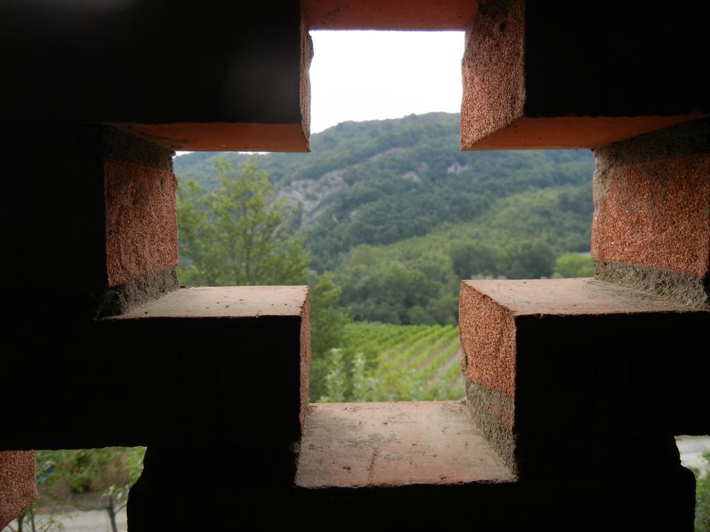 La Colombarola Agriturismo Farneto Ngoại thất bức ảnh