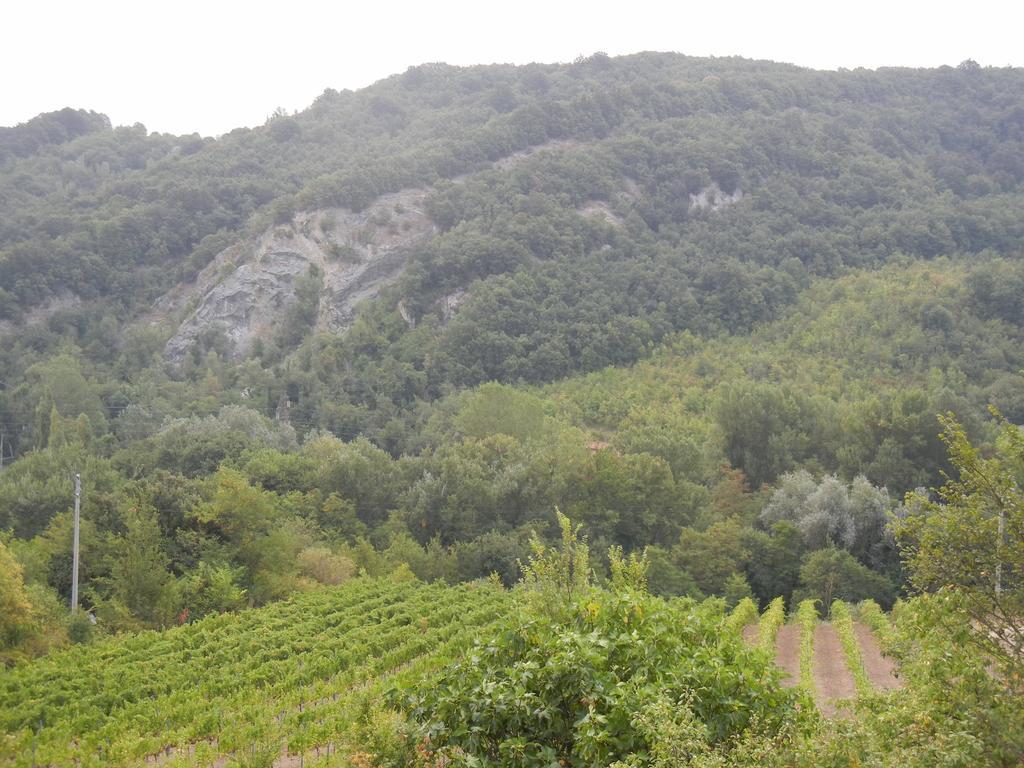 La Colombarola Agriturismo Farneto Ngoại thất bức ảnh