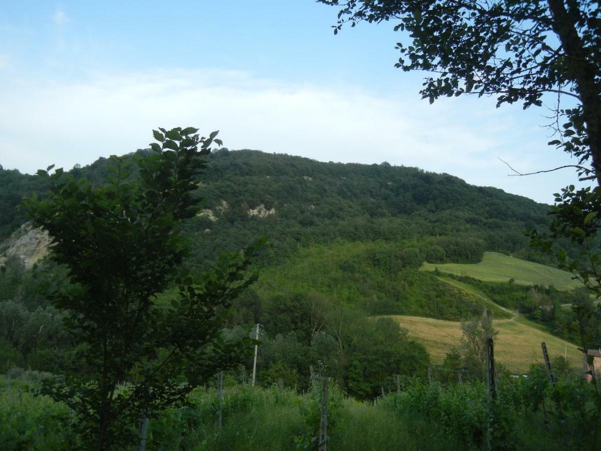 La Colombarola Agriturismo Farneto Ngoại thất bức ảnh