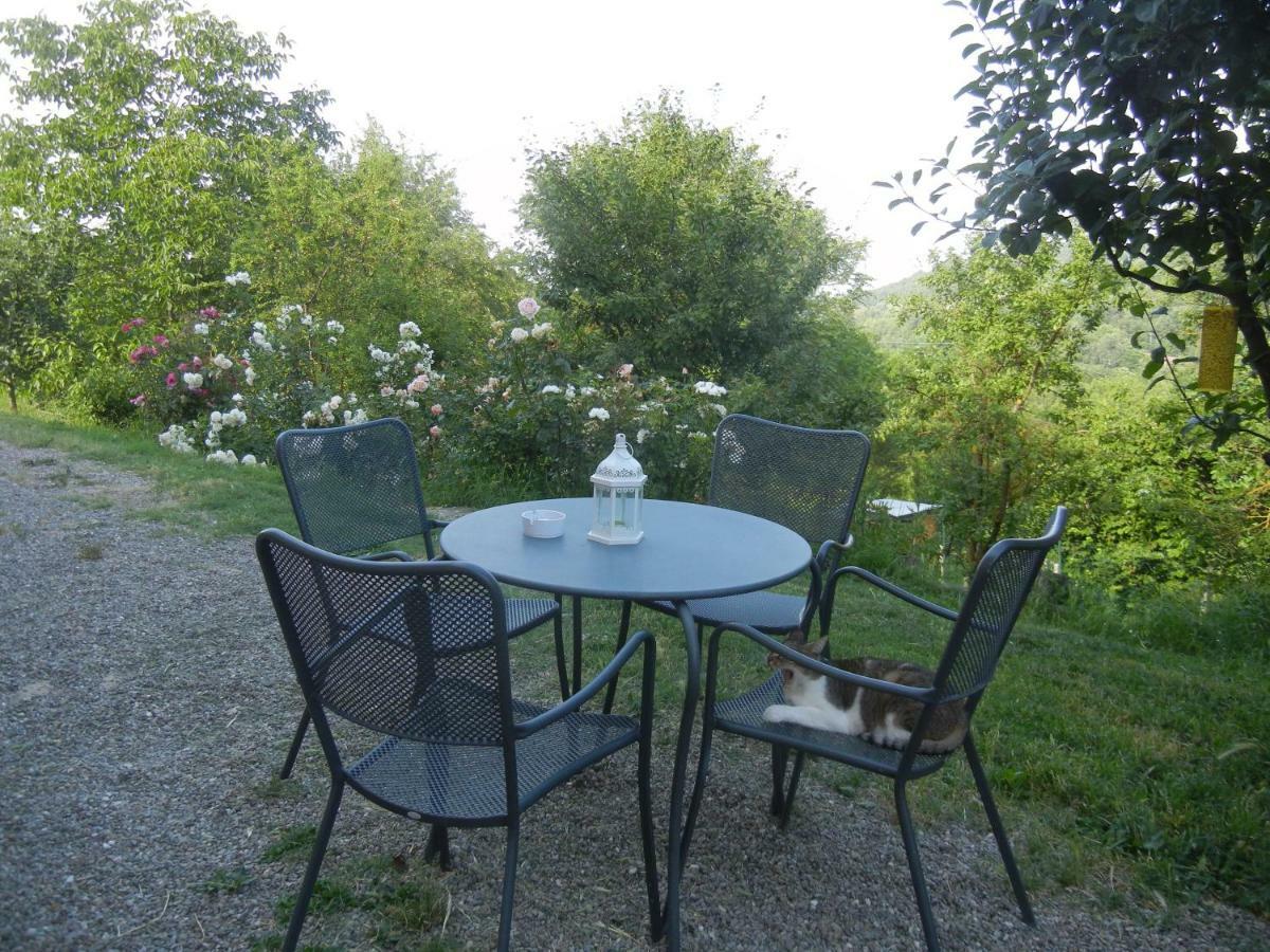 La Colombarola Agriturismo Farneto Ngoại thất bức ảnh