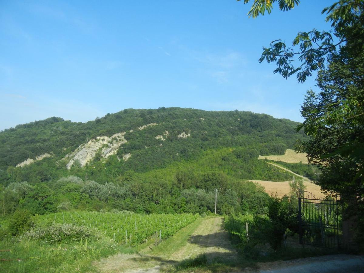 La Colombarola Agriturismo Farneto Ngoại thất bức ảnh
